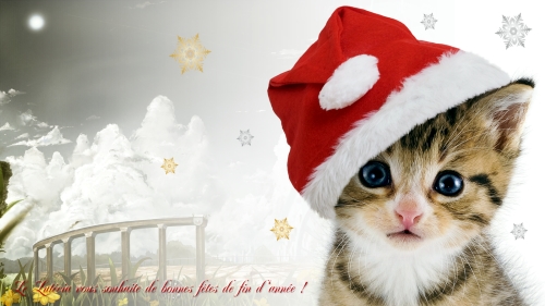 Cliquez ici !
